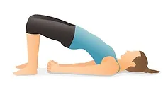 bridge pose.webp