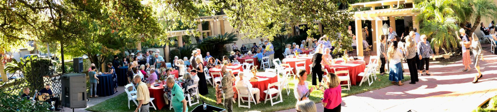 51682602139_0d73302e3b_k_edited.jpg