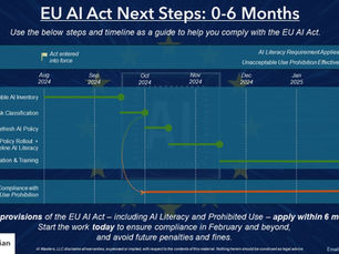EU AI Act Enters into Force: What Businesses and Developers Need to Know