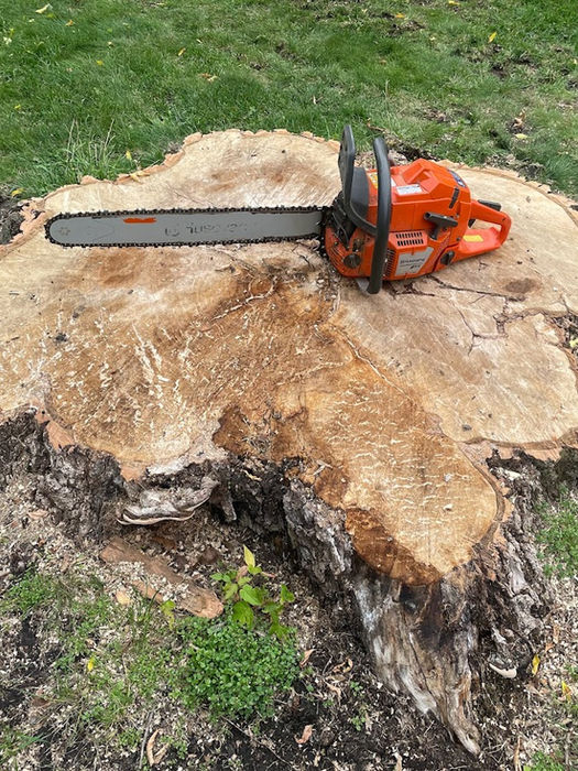 Stump Grinding Service | Fallin&Haulin