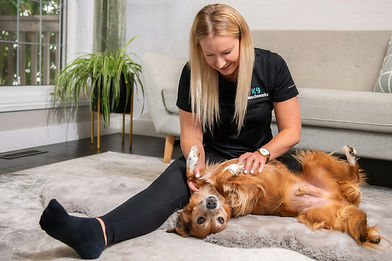 Happy dog getting a massage