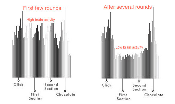 Habit effect on Brain