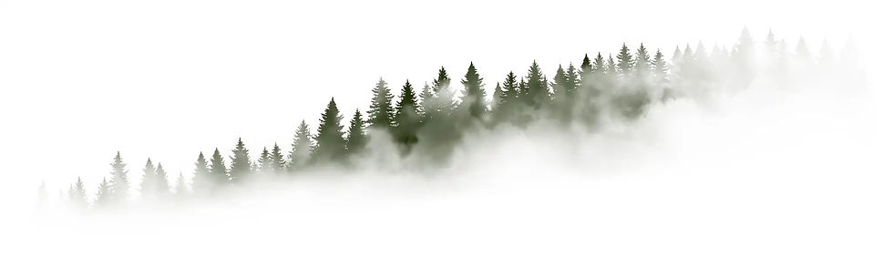 pine_grove.jpeg