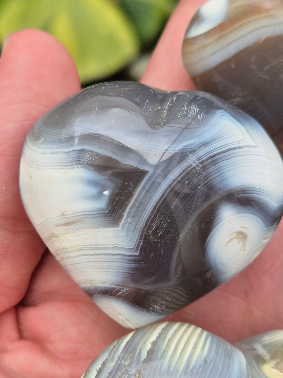 Thumbnail: Orca Agate Hearts