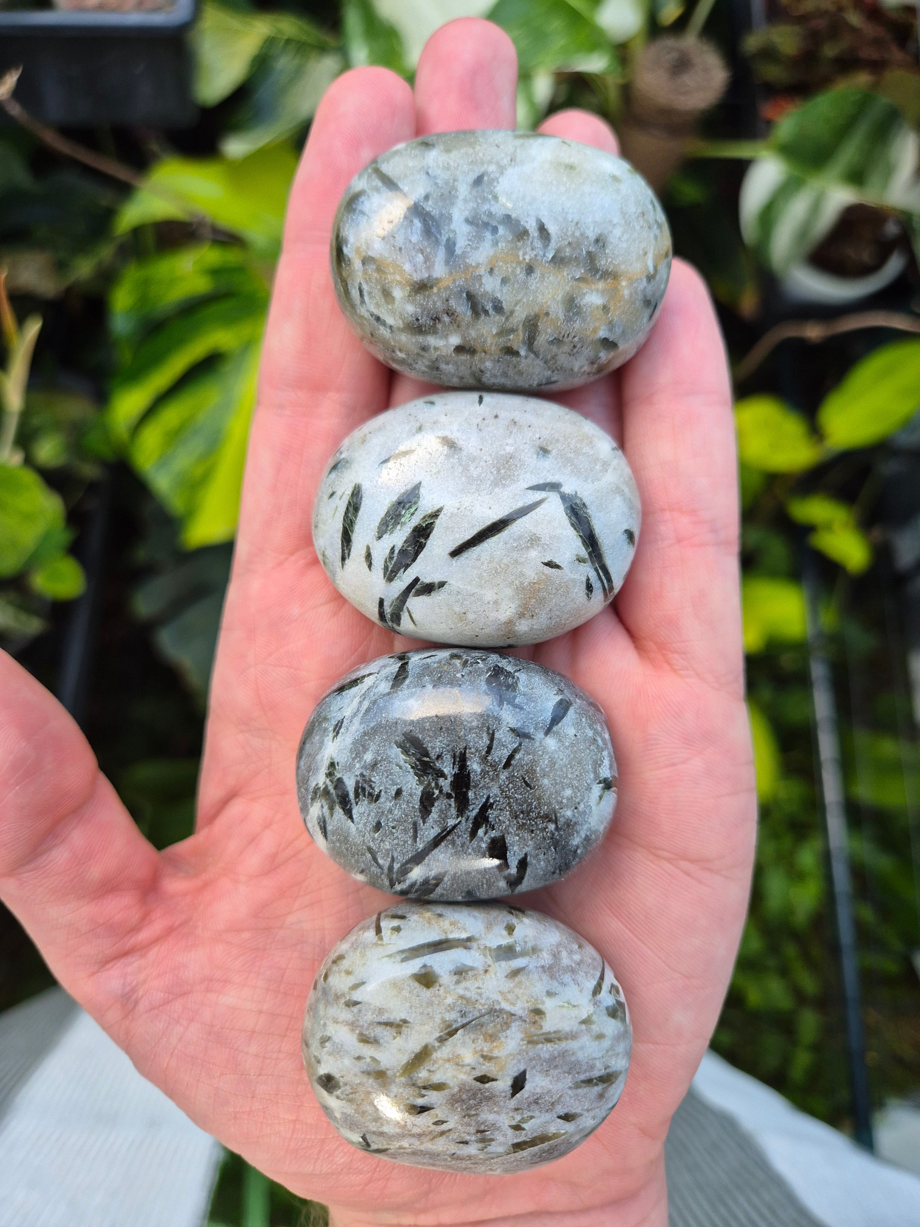 Green Tremolite in Dolomite Palmstones
