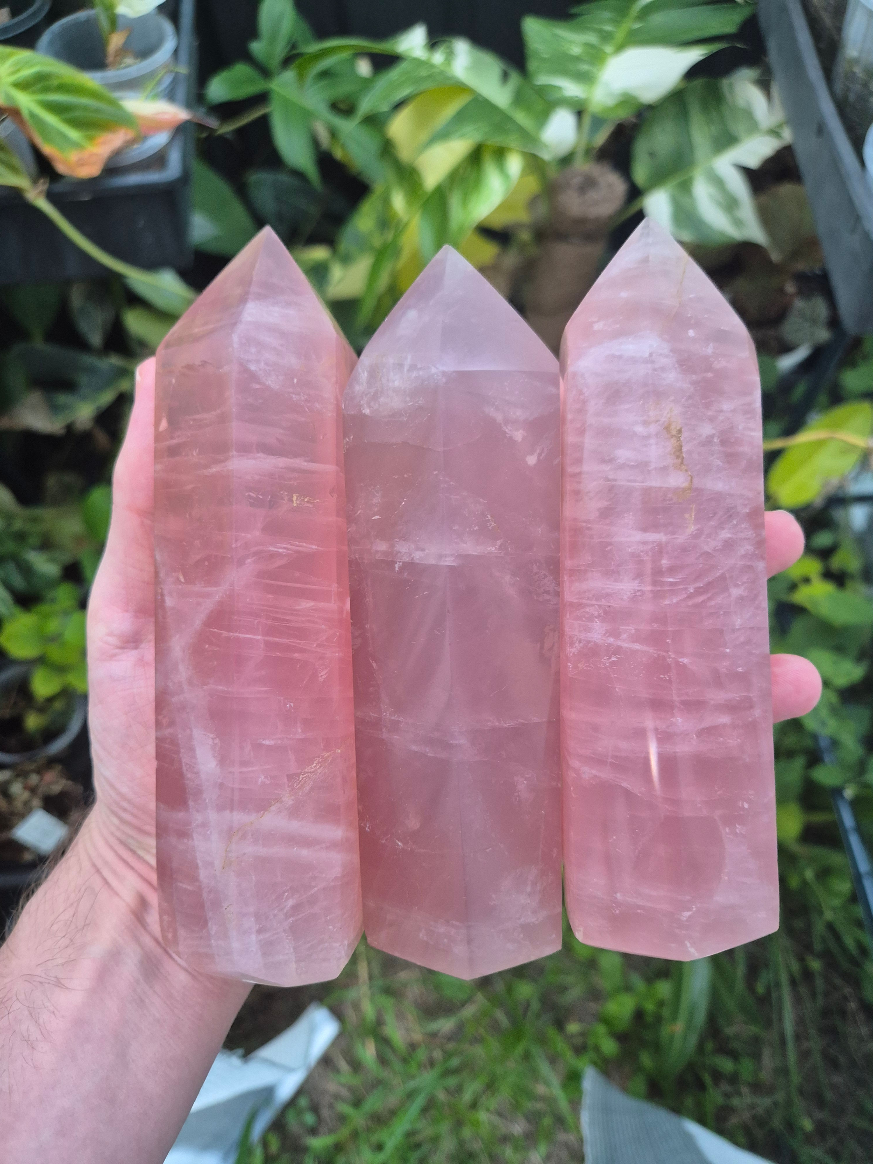 Large Rose Quartz Generators