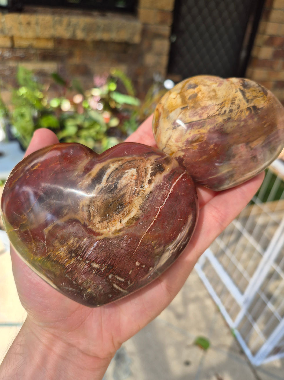 Fossilised Wood Hearts