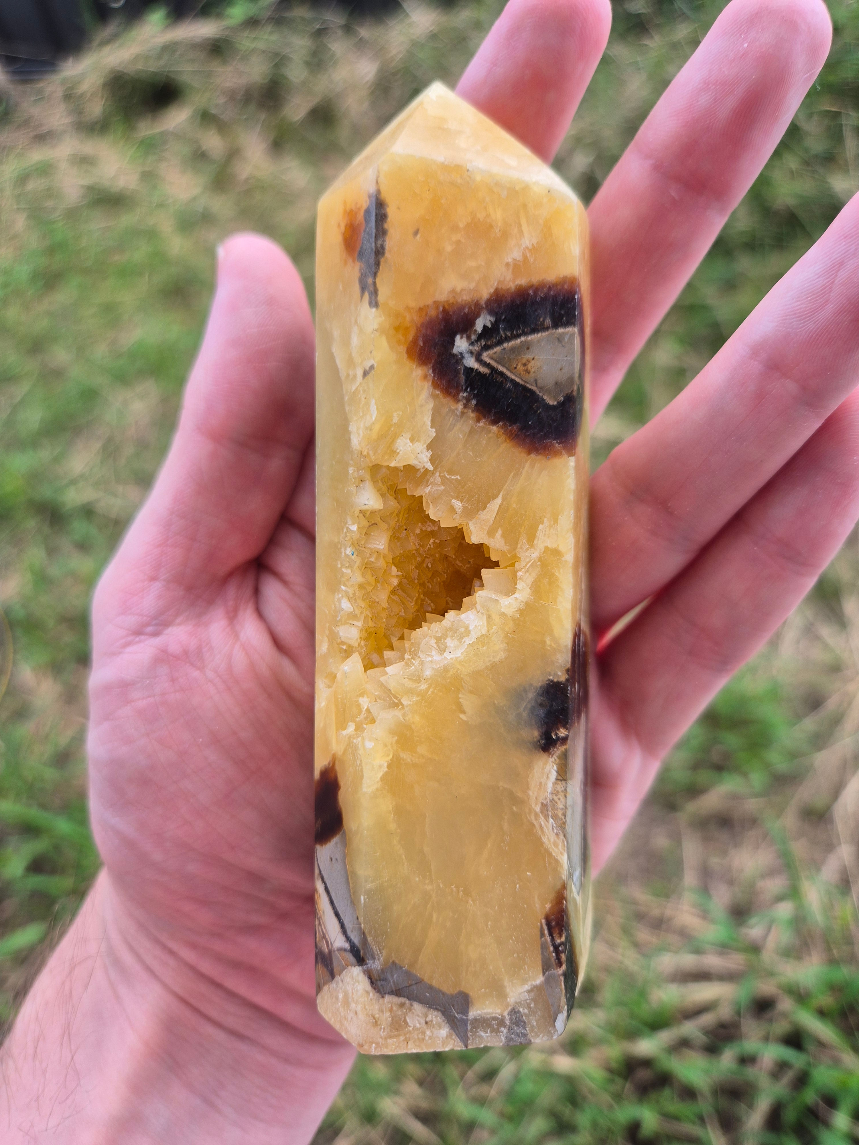 Septarian Generator with Druzy Cave