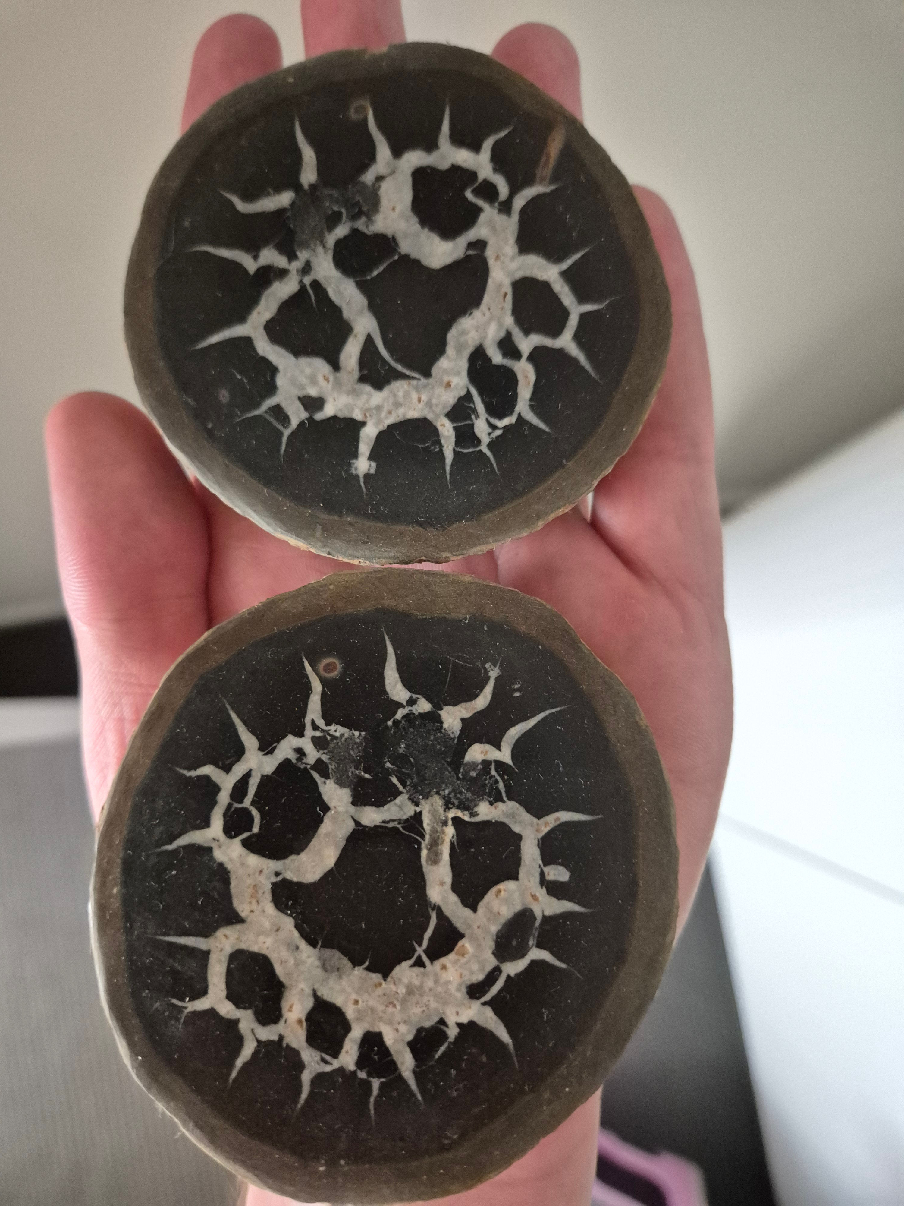 Split Moroccan Septarian Nodule Pair