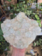 Large Blue Sugar Apophyllite and Stilbite Specimen