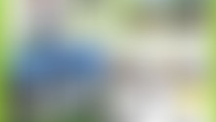 月刊NZ　8月号　記載広告