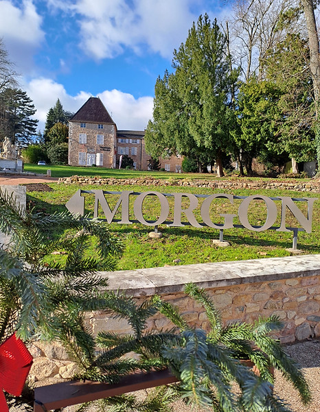 parc de la mairie de Villié-Morgon, à 50 mètres de la Louvière