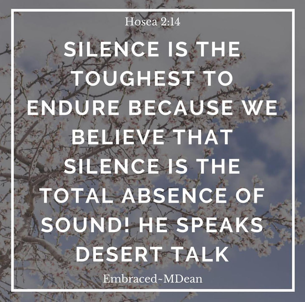 Silence speaks desert talk
