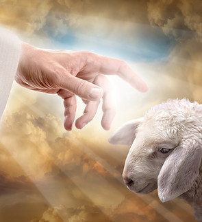 God reaching out to a lost sheep. Religious conceptual theme..jpg