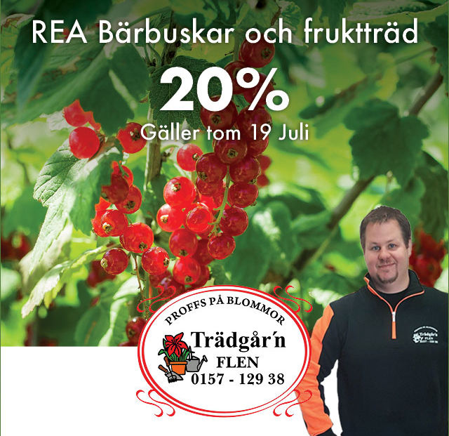 Rea på bärbuskar och fruktträd på Trädgårn i Flen