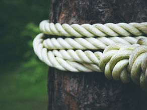 Entendendo Judas: Escolhas, Profecia e a Soberania de Deus