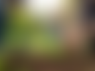 Together, We Can Change the World: Creating Global Change Together