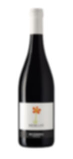 Rodaro Merlot DOP Friuli Colli Orientali 2022 Italian red wine bottle available in Malta from 3VISO