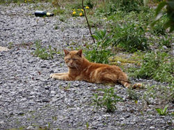 3e44d5_2e55a3705b1345a4b72bf7504c6f2873.jpg_srb_p_813_542_75_22_0.50_1.20_0.00_j