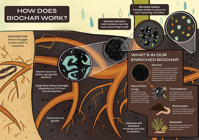 Biochar Illustration.jpg