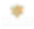 Thrive_NoBG.png
