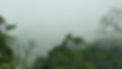 DSC06167.JPG