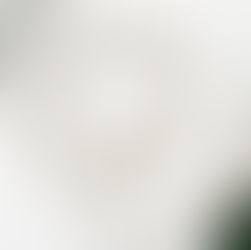 The Best Kidney Health Supplement