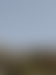 The Ultimate Travel Guide to Bryce Canyon and Zion National Park