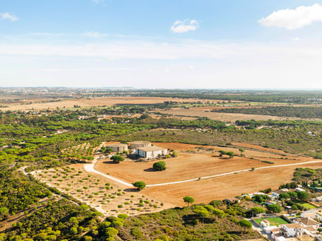 Bringing Certainty to Land and Mineral Ownership: The SureTitle Search Difference
