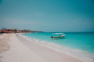 luis-vidal-TRoRHOkbKAo-unsplash.jpg