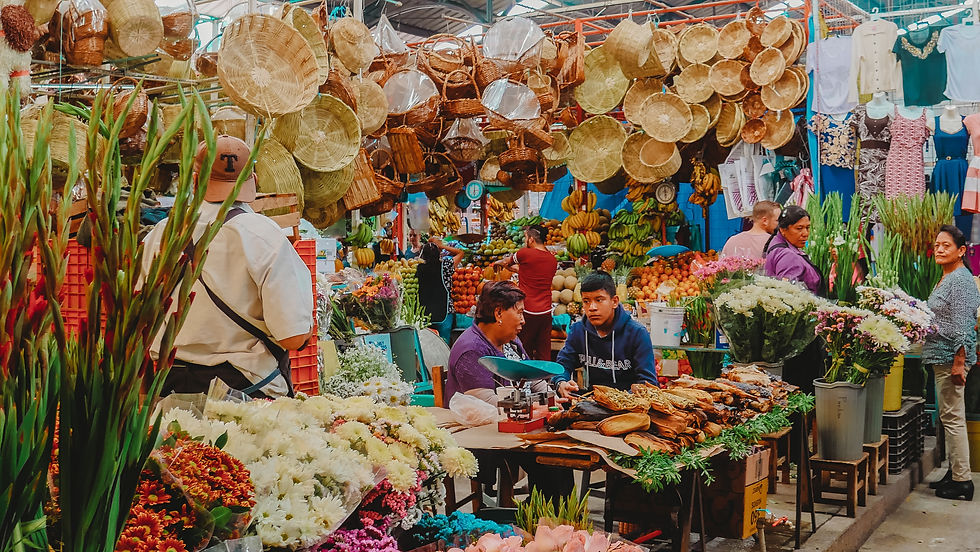 Market Tour