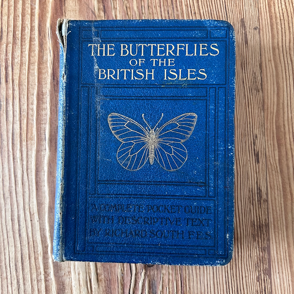 The Butterflies of the British Isles by Richard South c1906 Illustrated 2