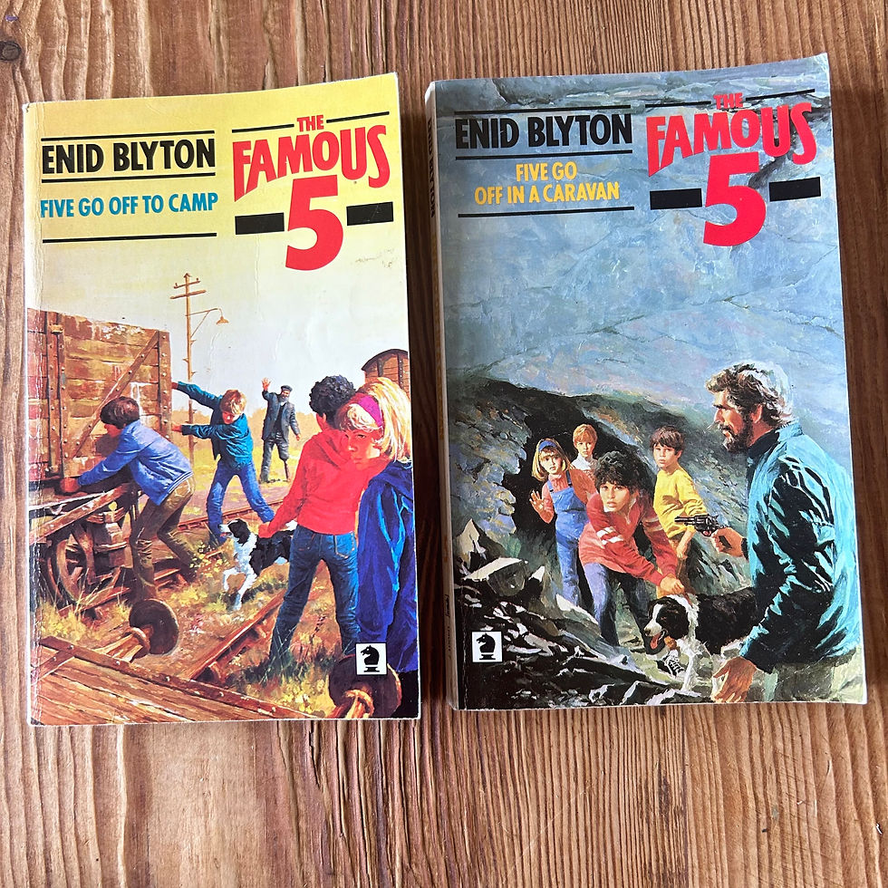 Thumbnail: The Famous 5 Collection by Enid Blyton 10 Books c1980's 3