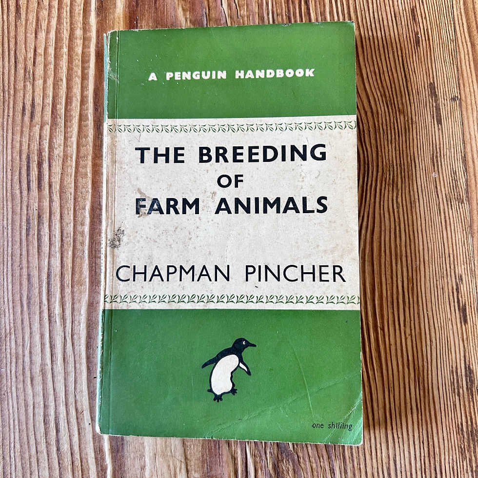 Thumbnail: The Breeding of Farm Animals by Chapman Pincher c1946 Penguin Handbook PH10 2