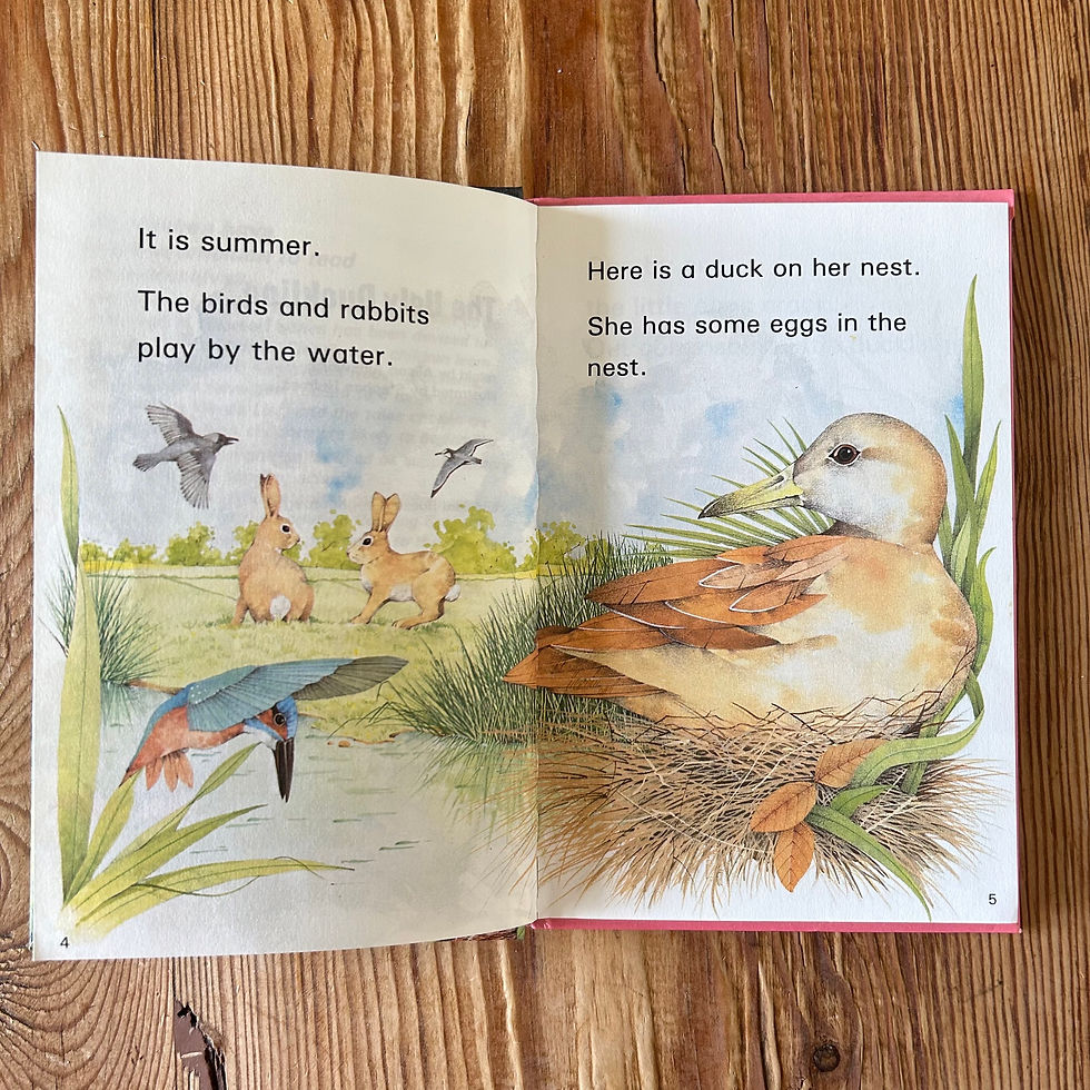 Thumbnail: The Ugly Duckling retold by Alison Ainsworth c1985 Ladybird Level 3 5