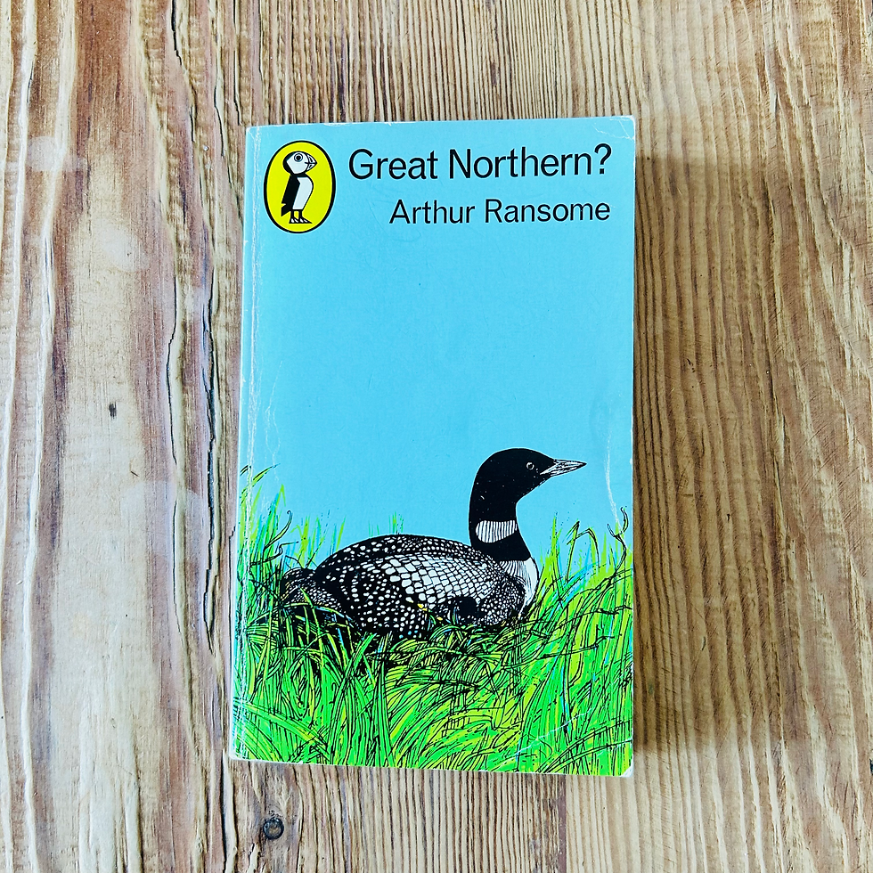 Great Northern? by Arthur Ransome c1980 Ornithological Adventure Young Adult 2