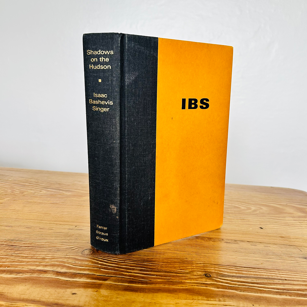 Shadows on the Hudson by Isaac Bashevis Singer c1998 First Edition