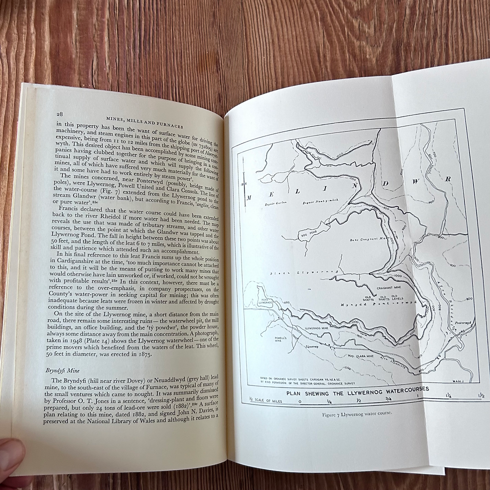Thumbnail: Mines, Mills and Furnaces by D Morgan Rees c1969 First Edition 5