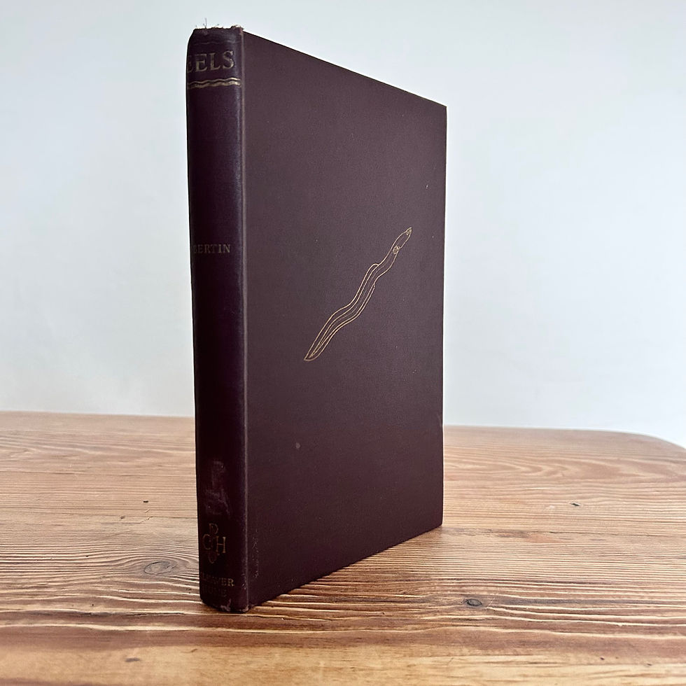 EELS-A Biological Study by Leon Bertin c1956 First Edition