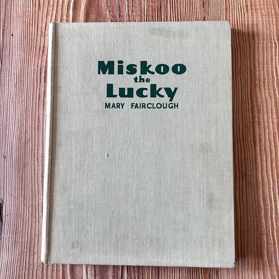 Thumbnail: Miskoo the Lucky by Mary Fairclough. A Story for Young People 2