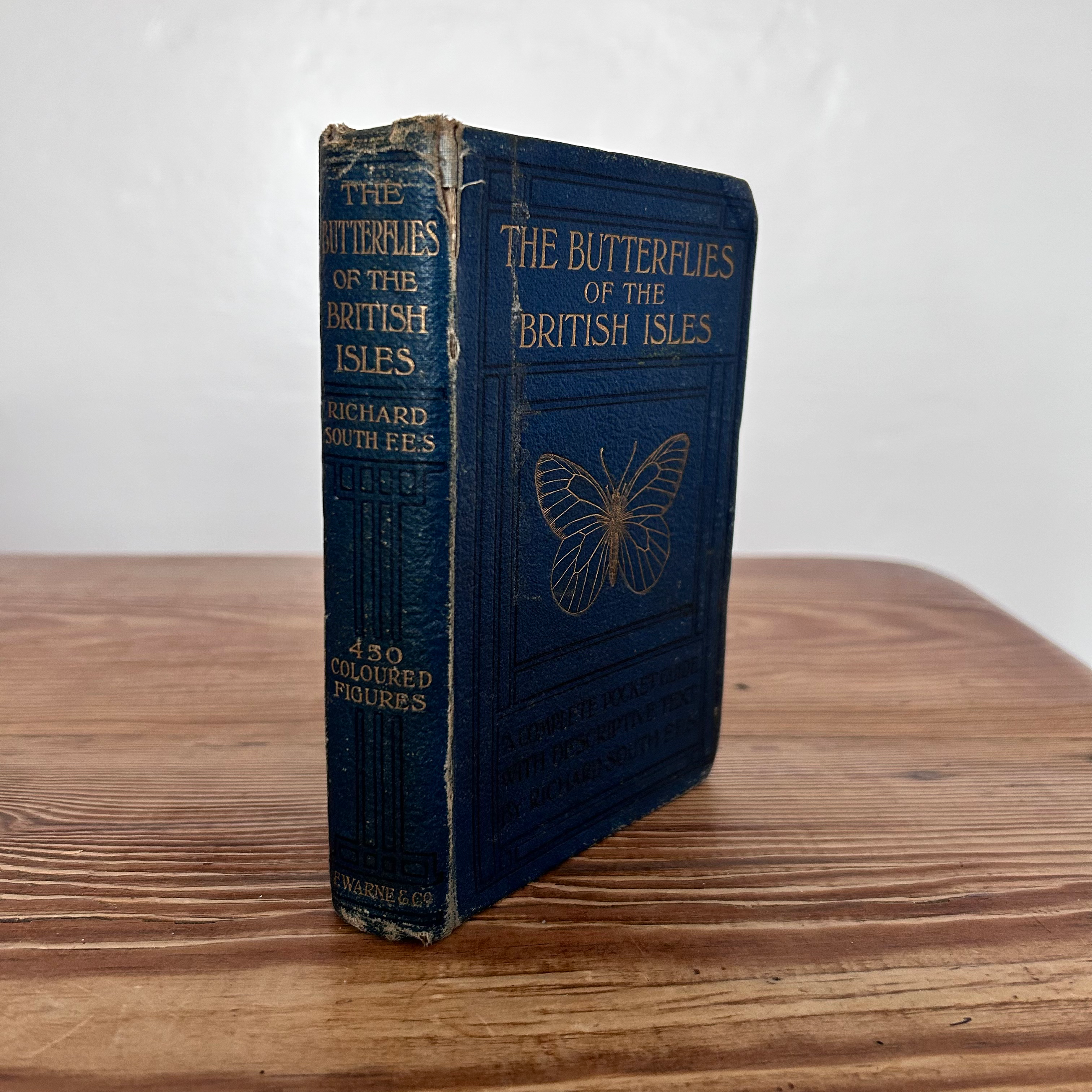 The Butterflies of the British Isles by Richard South c1906 Illustrated