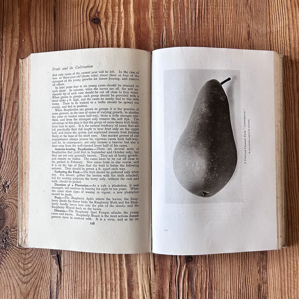 Thumbnail: Fruit and Its Cultivation by T W Sanders undated 5th Edition 3
