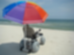 BOOK NOW - BEACH WHEELCHAIRS, THINGS TO DO, RENTALS, TOURS and ACTIVITIES on Anna Maria Island, Florida!