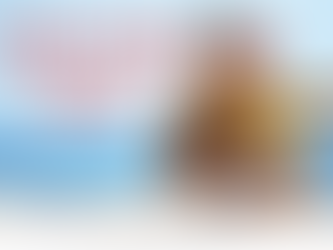 Discover ~ Bayfest on Anna Maria Island, Florida