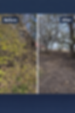 35B27024-BC76-41C1-801C-6823B9F46888.png