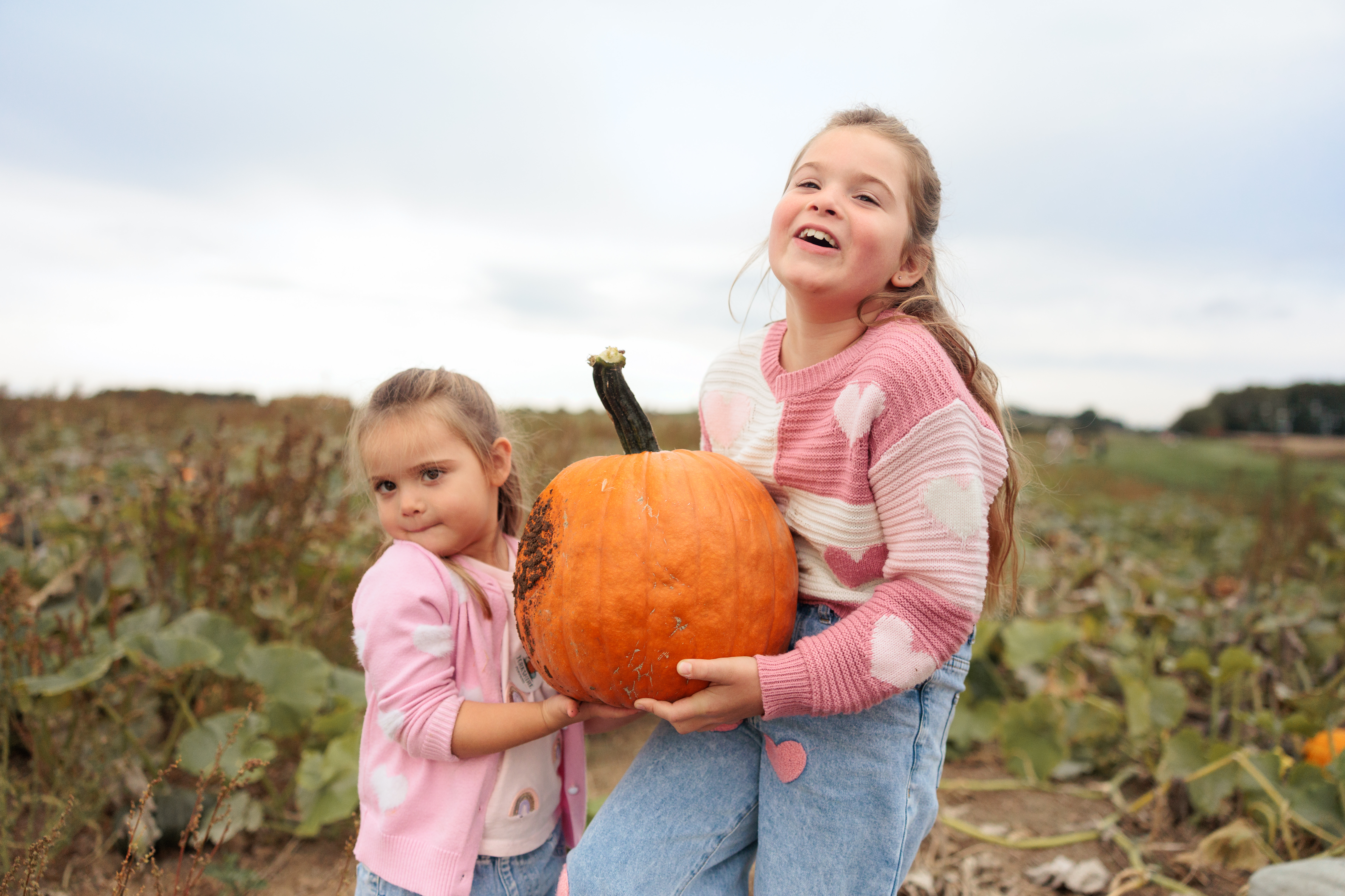Seasonal visit at Yorkshire Pumpkins
