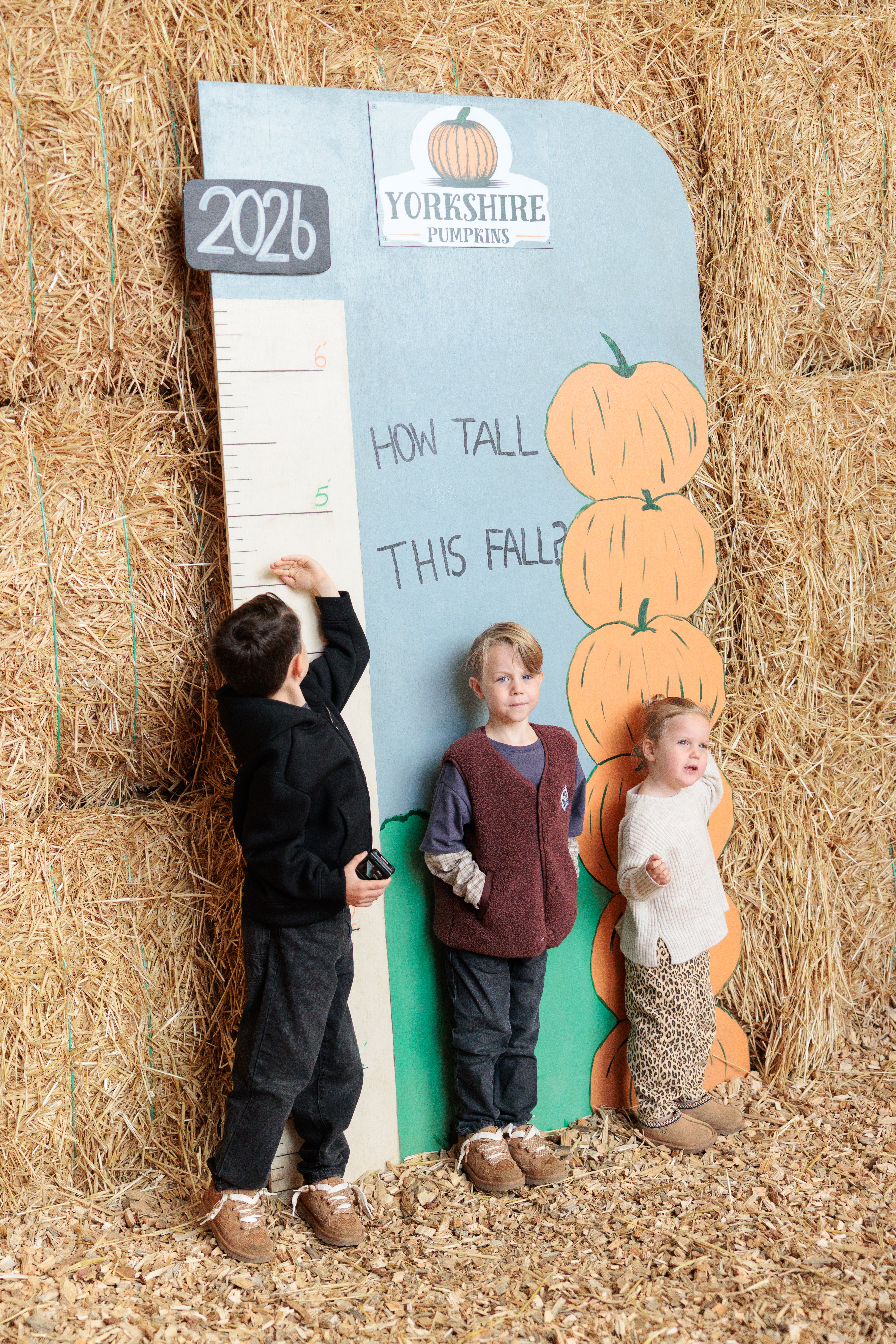 Seasonal visit at Yorkshire Pumpkins