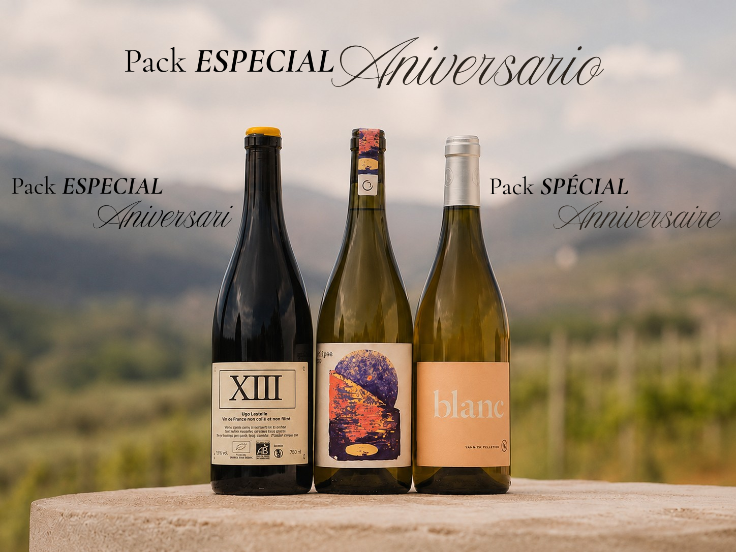 PACK especial.png