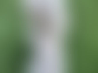 エイルくん