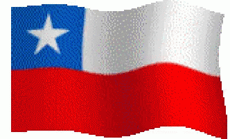 bandera.gif
